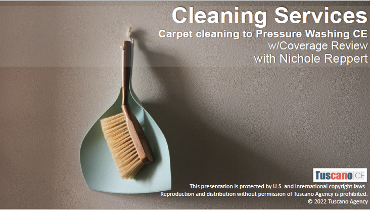 Cleaning Services: Carpet Cleaning to Pressure Washing